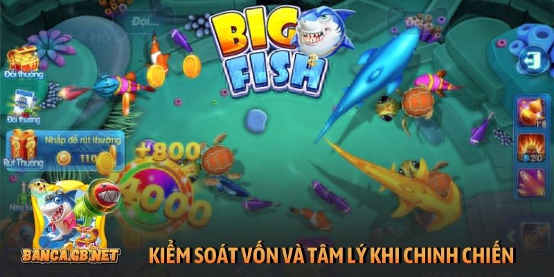 Kiểm soát vốn và tâm lý khi chinh chiến